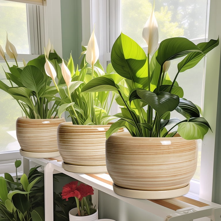 Ordivic Ceramic Plant Pot, 10-Inch Glossy Yellow with Saucer photo 7