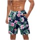 thumbnail image 1 of Pantalones Cortos Casuales para Hombre Imprimir con Bolsillos Pantalones de Playa de Cintura Elástica, Pantalones Cortos de Cintura Elástica para Hombre, 1 of 9