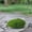 B, variant on Z52LingLing Decoration Small Moss-Covered Stone Decor C - Realistic Artificial Landscape Element for Terrarium, Garden, Diorama, or Desktop