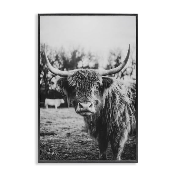 Stupell Industries Farmhouse Peering Highland Cattle Black Framed Giclee Art, 12 x 18, by Dakota Diener