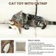thumbnail image 4 of Viralhuntz Cat Toy Bird, Flappy Perry Bird Cat Toy, Interactive Cat Toy, 4 of 4