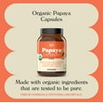 Papaya Enzymes & Organic Papain Enzyme Capsules 600mg 100 Pills