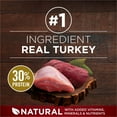 thumbnail image 4 of Purina ONE Véritable Instinct Dinde et Venaison, Nourriture Sèche pour Chiens, 4 of 9