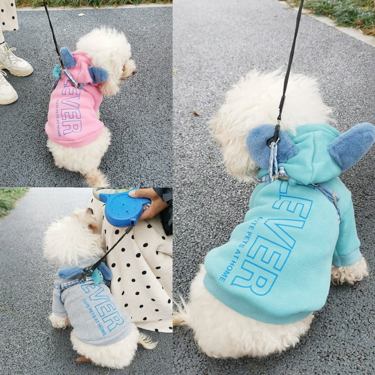 Pets at home store puppy clothes