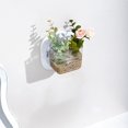 thumbnail image 4 of WRKEKC Clearance Wall-Mounted Transparent Hydroponic Planter Box, Creative Storage for Bathrooms and Offices, 4 of 6