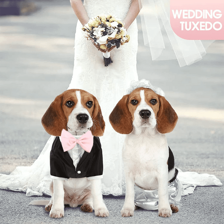 Golden retriever wedding outfit online