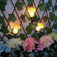 thumbnail image 4 of Guirlande Lumineuse Décorative Champignon LED - Solaire (3 LEDs), 4 of 5