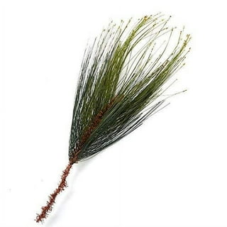 Factory Direct Craft Package of 12 Artificial Plastic Green Cedar Pine Stems