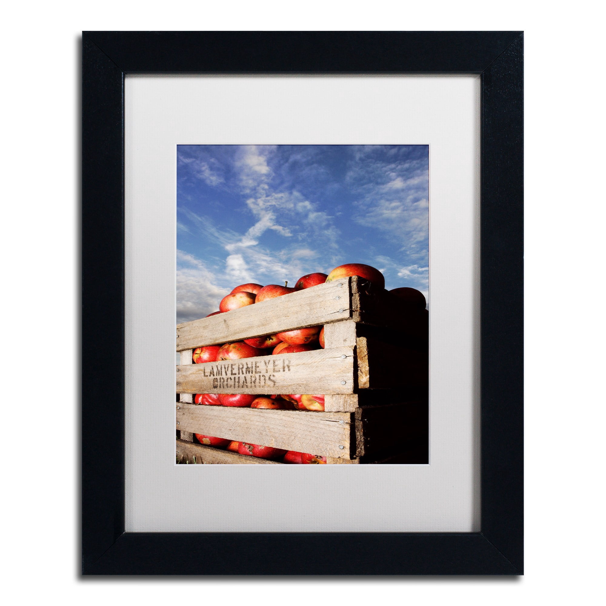 Trademark Fine Art "Orchard" Canvas Art by Jason Shaffer, White Matte, Black Frame