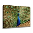 thumbnail image 2 of Póster de lienzo de pavo real, decoración de dormitorio, paisaje deportivo, decoración de oficina, regalo, estilo marco, 20 x 30 cm, 2 of 8