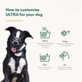 thumbnail image 4 of MUZZLE - Patented Humane Design, Breathable, Dog can Pant and Drink, Adjustable, Padded, Training Muzzle for Medium-sized Dogs, Prevents Biting, Wildlife Scavenging, 4 of 7