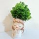 thumbnail image 1 of Lindas macetas con orificio de drenaje, macetas de jardín de hadas, Idea de regalo para amantes de las plantas, maceta decorativa para plantas de interior, 1 of 5