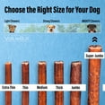 thumbnail image 3 of ValueBull Bully Sticks for Large Dogs, Super Jumbo 6 Inch, 25 Count, 3 of 7