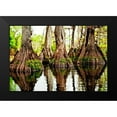 thumbnail image 2 of Nawrocke, Bruce 18x13 Black Modern Framed Museum Art Print Titled - Tree Stumps, 2 of 5