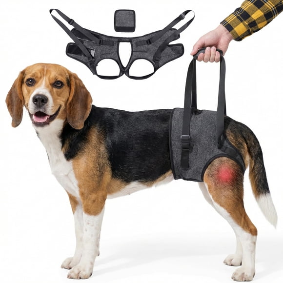 Tigebraver Dog Lift Harness For Back Legs, Sturdy Support Sling For Large & Medium Dogs, Hip Carrier & Stair Helper For Senior Dogs, Ligament Rehabilitation Aid (Grey, XL)