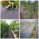 thumbnail image 4 of mfyjkho Tela de polipropileno antimaleza de 3,3 x 16,4/32,8/49,21/65,62 pies, membrana resistente para cubrir el suelo de jardines, parterres y caminos, paquete de 1, 4 of 8