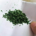 thumbnail image 2 of serony Scene Accessories Leaf Micro Landscape Leaves for Sand Table Model Train Greenish, 2 of 9
