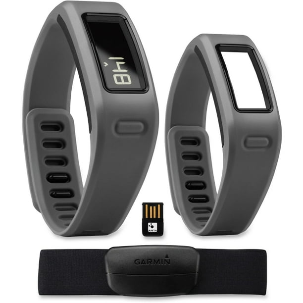 vivofit ant stick
