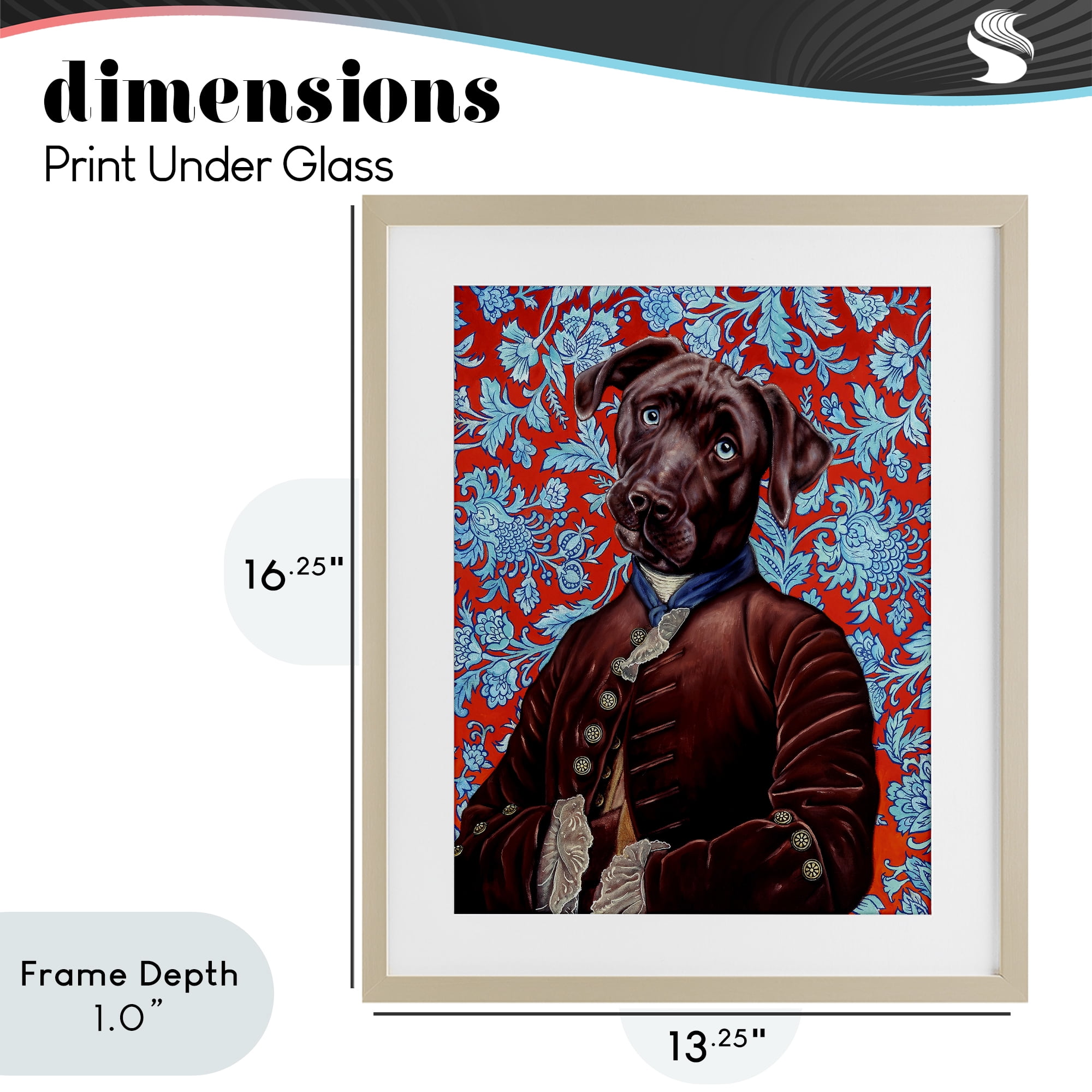 Stupell Industries Charming Labrador Composition Birch Framed Print Under Glass, design by Jane R. Talton