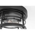thumbnail image 6 of Elegant Lighting Carla 10" Outdoor Flush Mount in Black, 6 of 8