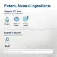thumbnail image 3 of Enjuague bucal North American Herb & Spice Kid-e-Kare Strawberry 240 ml, 3 of 7