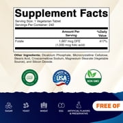 2 Pack - Vitamatic Folic Acid 1000 mcg (1 mg) - 240 Vegetarian Tablets - 1667 mcg DFE - Vitamin B9 (Total 480 Tablets)