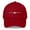 Cranberry, variant on The Aardvark | F-111 Aardvark Embroidered Dad Hat