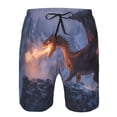 thumbnail image 3 of Pofeuu Winter Fire Dragon Prin Men's Swim Trunks Quick Dry Bathing Suit Swimming Board Shorts Mesh Lining Beach Swimwear-XX-Large, 3 of 6