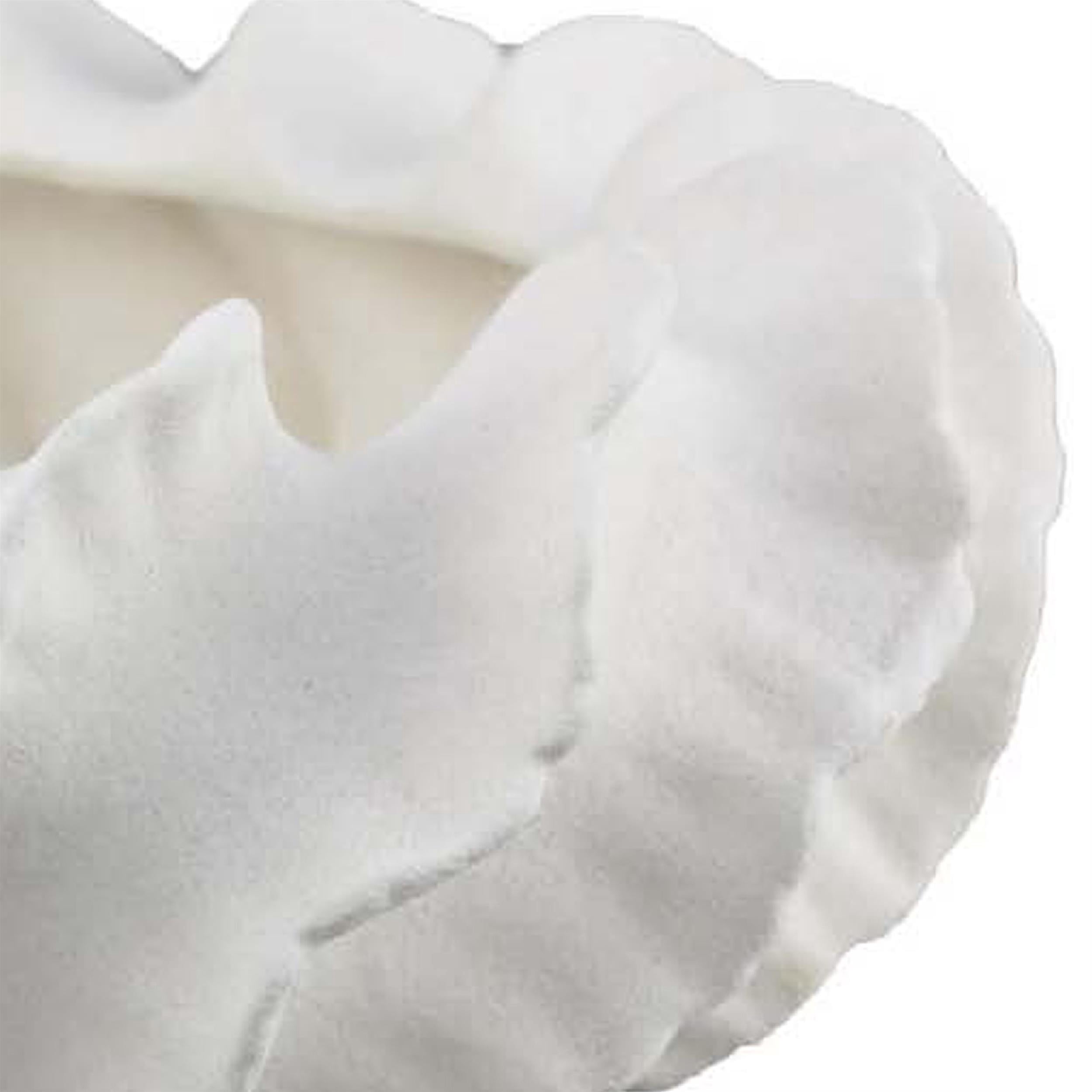 Benjara Velz Decorative Planter- 16" Wavy Edge- Matte White Ceramic