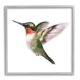 thumbnail image 5 of Stupell Industries Flying Hummingbird Wings Hovering Casual Painting Graphic Art Gray Framed Art Print Wall Art, Design by Studio Q, 5 of 5