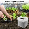thumbnail image 3 of Bolsas Inicio Plántulas Tela Plantas Sembrando Vivero Jardín Cultivo No Tejidos Respirables Suministros Jardines Verdes, 3 of 9