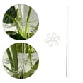 thumbnail image 3 of Gazechimp Plant Support Stake Acrylic with Hook Clip for Garden Balcony Indoor Outdoor M, 3 of 5