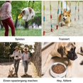 thumbnail image 5 of Food Bag for Dogs, Dog Training Treat Pouch, Treat Bag for Dogs, Portable Dog Snack Bag, Removable Dog Training Treat Pouch, Dog Training Food Bag, Food Bag (Blue), 5 of 5