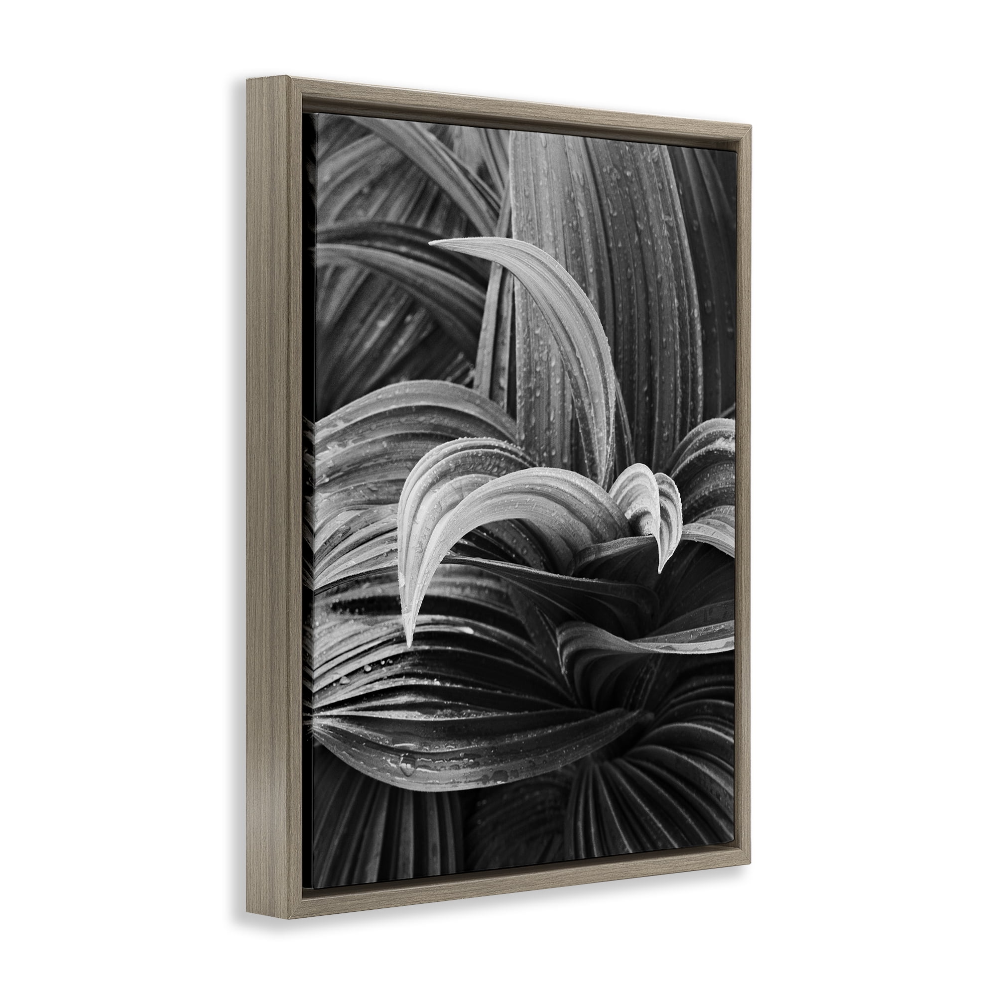 Stupell Industries Wet Leaves Detail Botanical & Floral Photography Brown Floater Framed Art Print Wall Art, 25 x 31