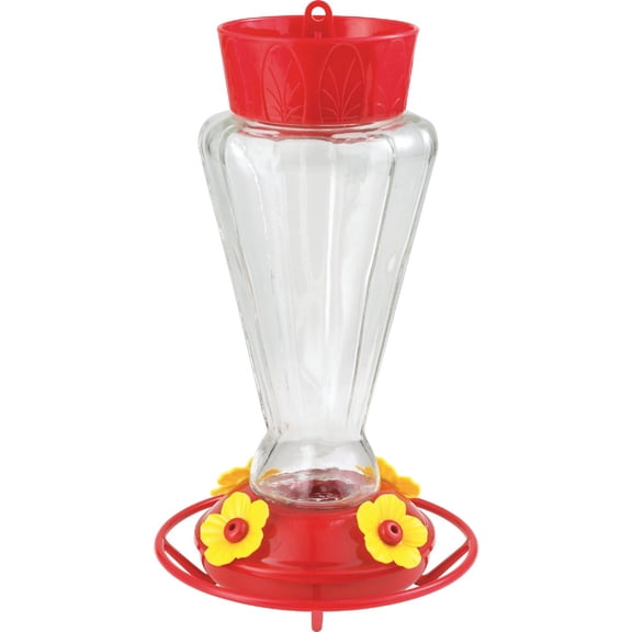 More Birds Royal Glass Hummingbird Feeder With Ant Moat, 28 oz