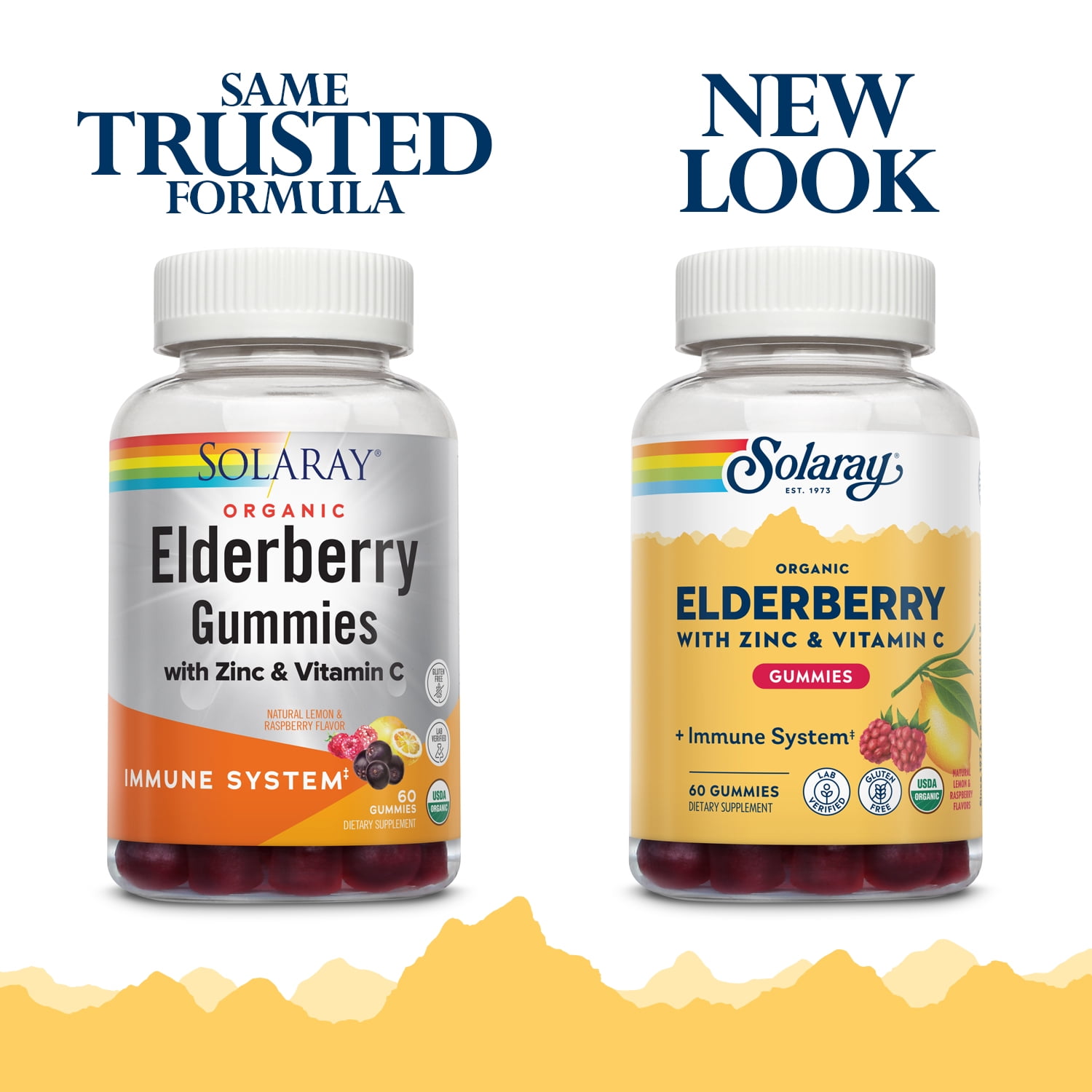Solaray Organic Elderberry Gummies w/ Zinc & Vitamin C | Healthy Immune System Support | Gluten Free | 30 Serv, 60 Ct