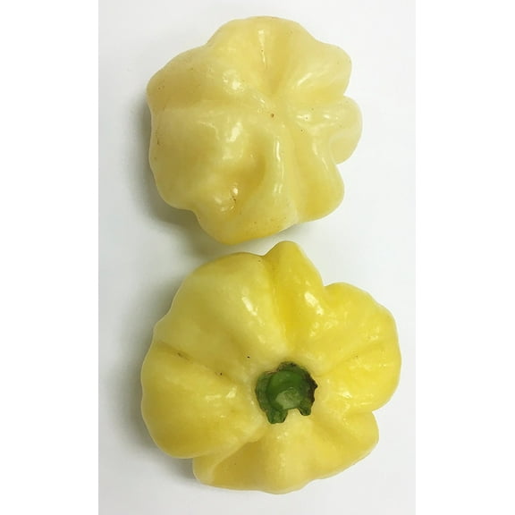 7Pot White Pepper Premium Seeds Packet