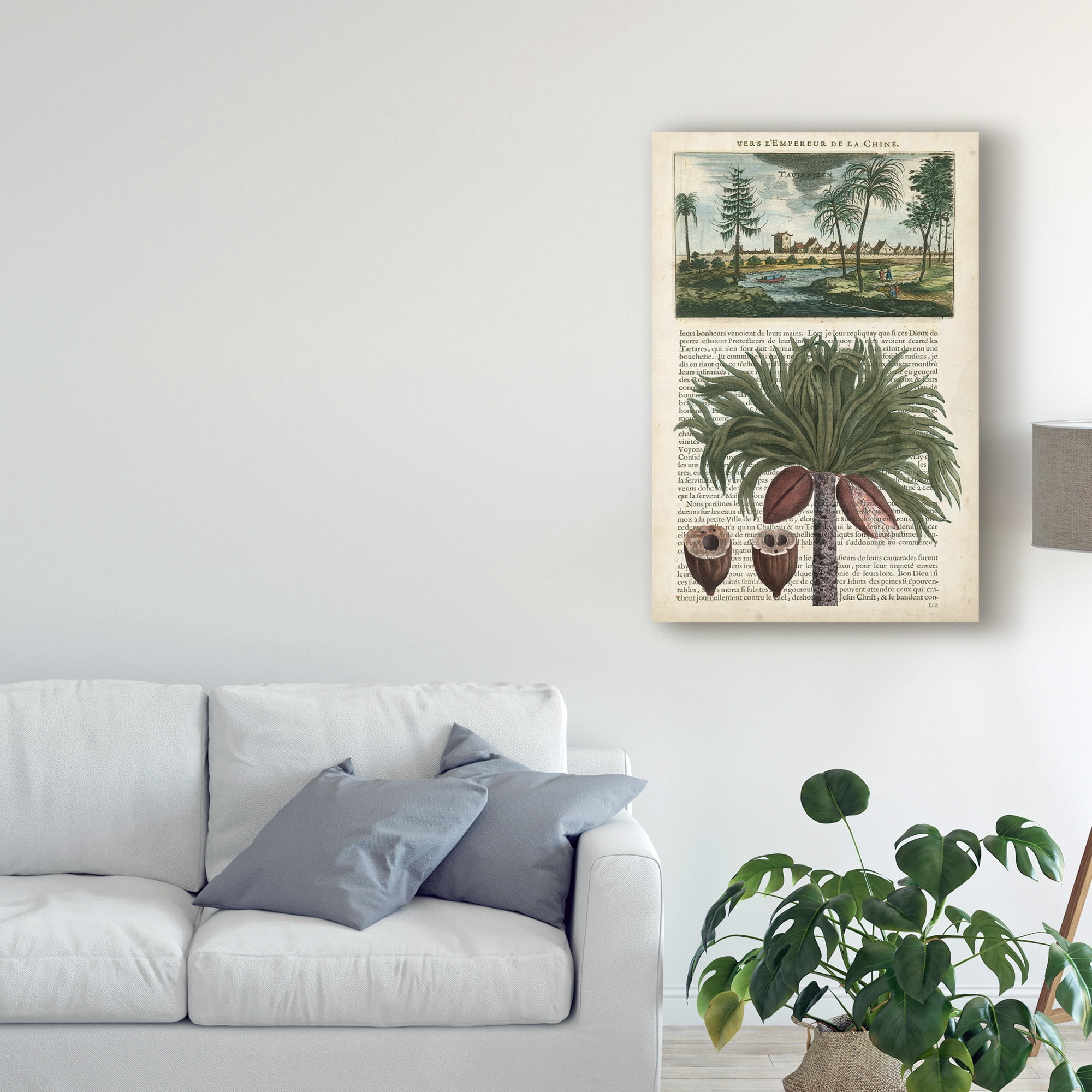 Trademark Fine Art 'Journal of the Tropics IV' Canvas Art by Vision Studio