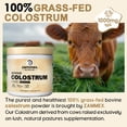 thumbnail image 6 of Zammex Bovine Colostrum Powder, Grass-Fed High IgG Colostrum Supplement Support Gut Health & Immune, Unflavored 30 Servings, 6 of 8
