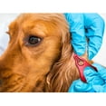 thumbnail image 3 of PMCAF Tick Remover Tool 3-Pack, Safe & Quick for Pets, Animals, and Humans, Outdoor Essential, 3 of 7