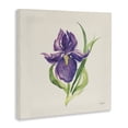 thumbnail image 3 of Stupell Industries Rustic Lodge Easter Iris Bloom Canvas Art, 17 x 17, by Kristy Rice, 3 of 8