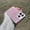 Purple, variant on Decase Glitter Phone Case for iPhone 14 Pro, Slim and Shockproof, Wireless Charging Support, Sparkling Color Design, Mag-Safe Compatible,Protective Transparent Case with Magnetic Ring,Purple
