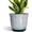 Crack Blackish Green, variant on Ceramic Pots for Plants - 5.6 Inch Plant Pot with Drainage Hole and Saucer, Round Orchid Succulent Pots for Indoor Outdoor, Modern Small Planter, Home Office Decor, Gifts for Women, Beige