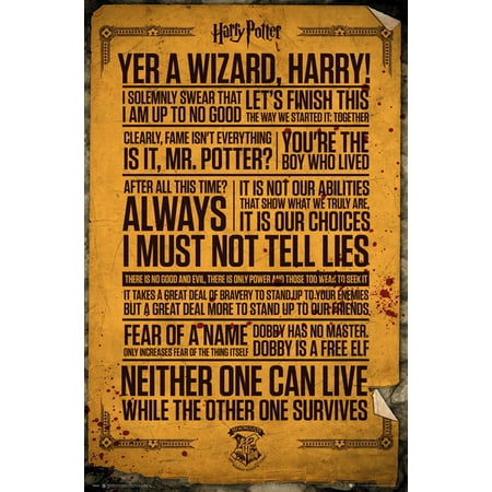 Harry Potter - Movie Poster / Print (Famous & Favorite Quotes) (Size: 24