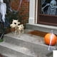 thumbnail image 5 of Estatua de esqueleto de vaca para Halloween, vaca, caballo, gato, rana, animales de esqueleto realistas, decoraciones de Halloween para el patio, esqueleto espeluznante, esqueleto de animal de vaca pa, 5 of 7