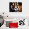 thumbnail image 4 of COMIO  Wild Animal Canvas Wall Art A Ferocity Royal Bengal Tiger Pictures for Wall Painting Print on Canvas Framed Contemporary Art for Men Boy Bedroom Home Modern Decoration, 4 of 4