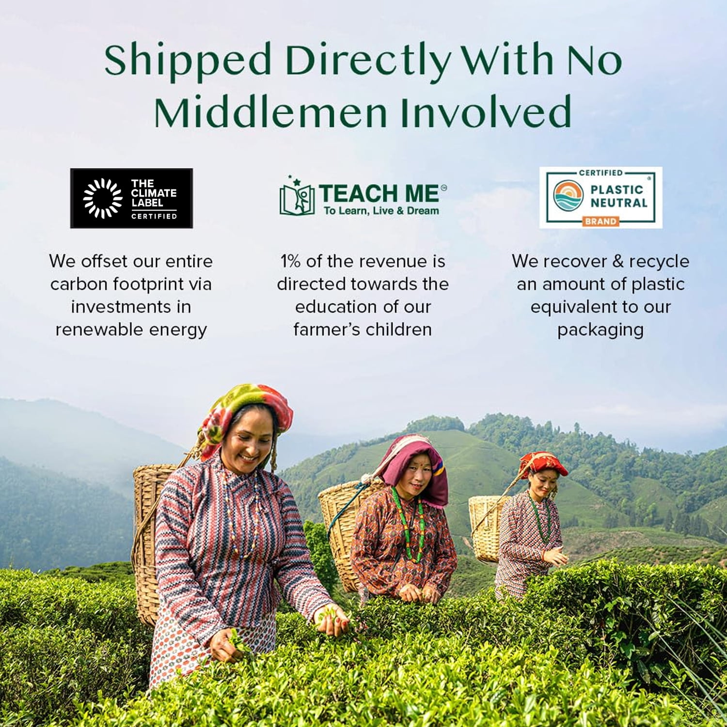 VAHDAM Organic Turmeric Ginger Herbal Tea, 100 Pyramid Tea Bags | Caffeine-Free, Non-GMO Herbal Infusion, Spiced Botanical Blend