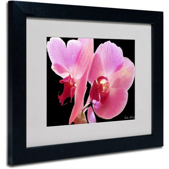 Trademark Art 'Orchid' Matted Framed Art by Kathie McCurdy