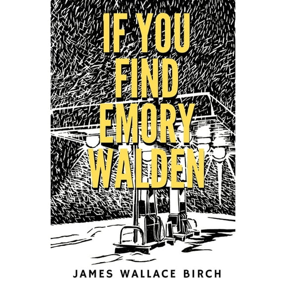 If You Find Emory Walden, (Paperback)
