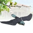 thumbnail image 6 of Britenway Premium Bird Repellent Fake Flying Hawk Decoy  20 In. Wide,, 6 of 6